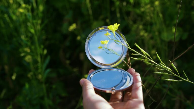 Inside the Certification Process: How Standards Are Set and Upheld