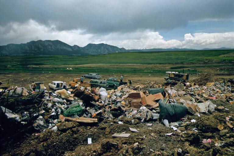 Why Sustainability Needs Standards, Not Just Good Intentions